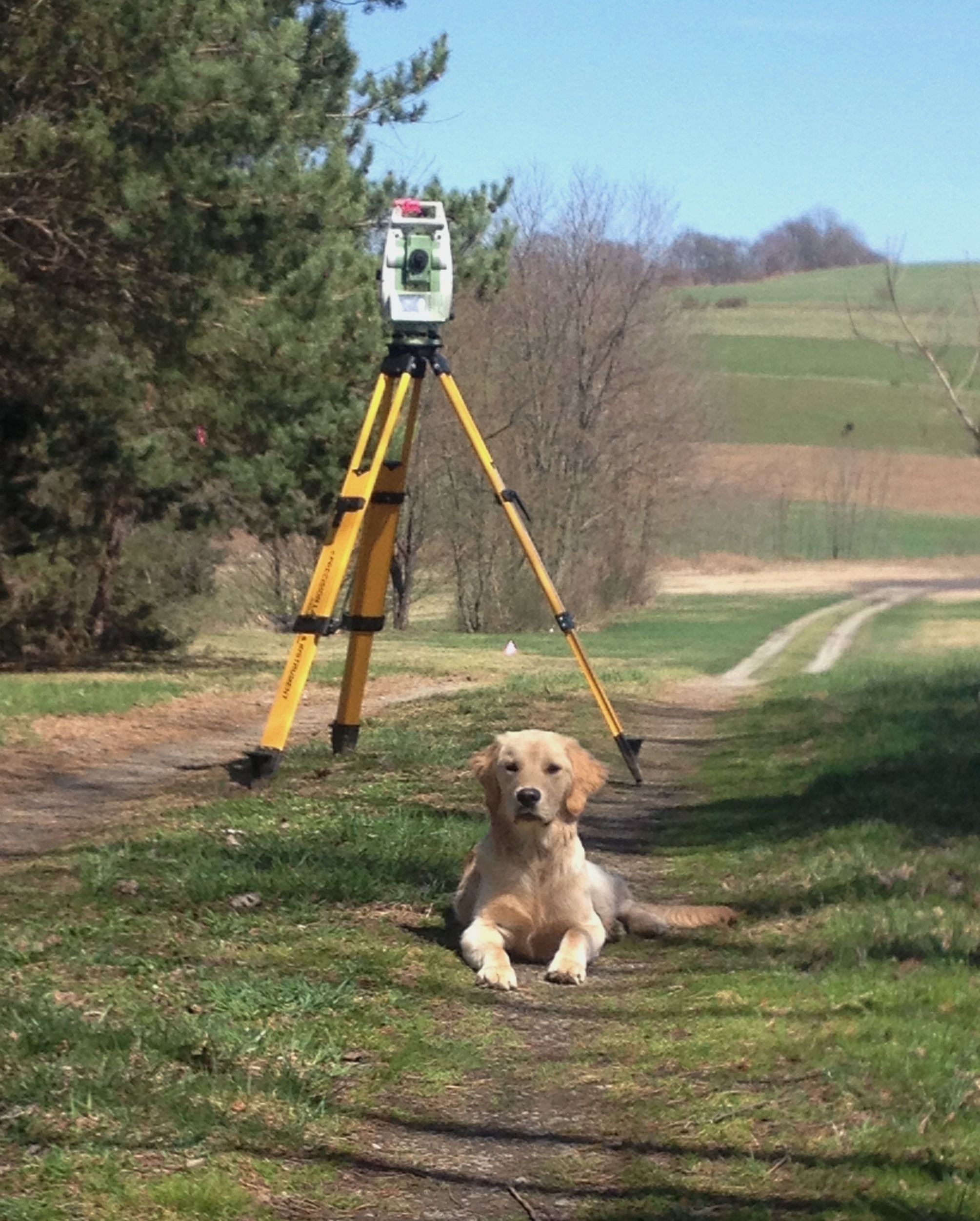 Helper Ollie